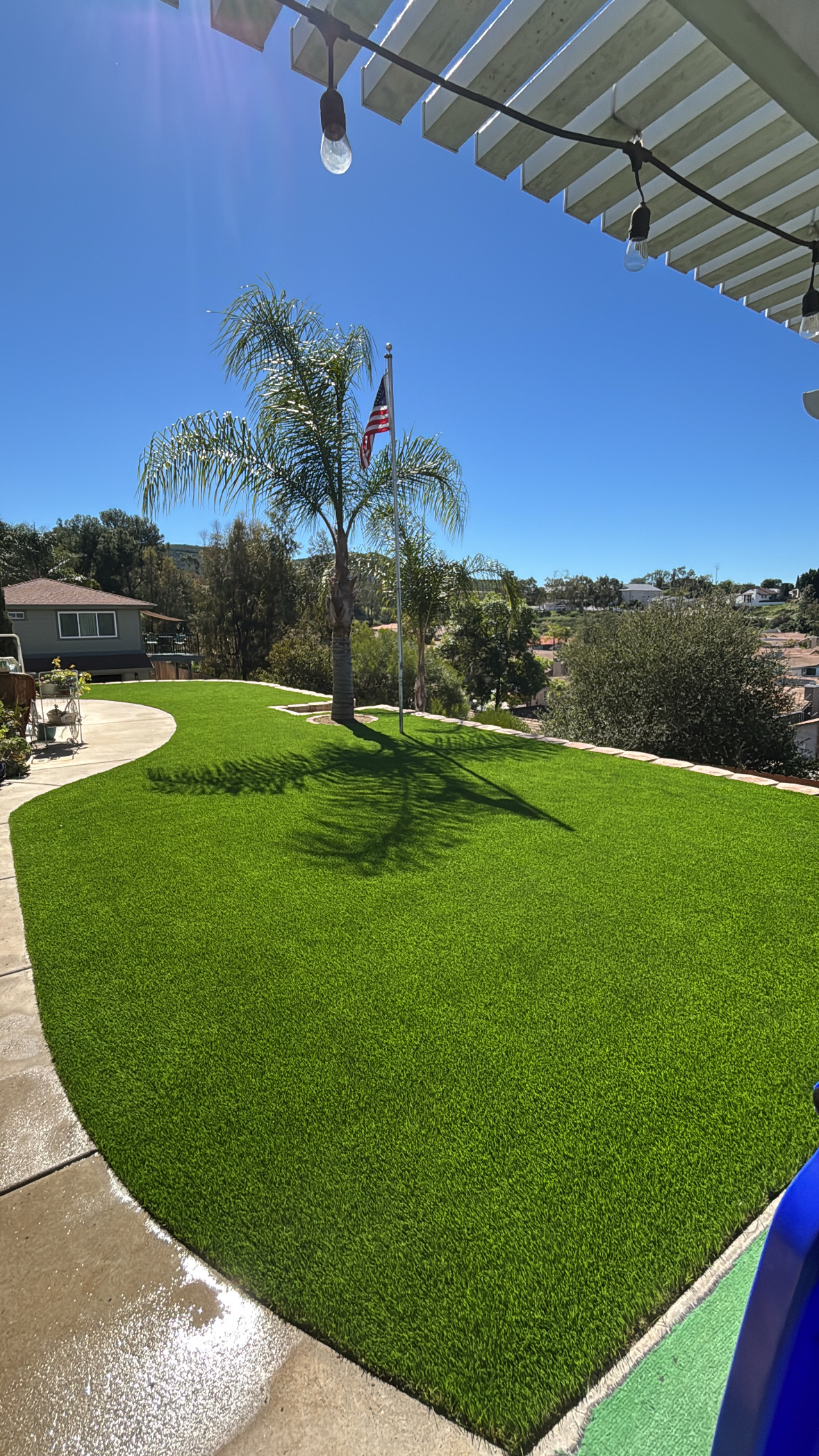 Artificial turf backyard with palm tree